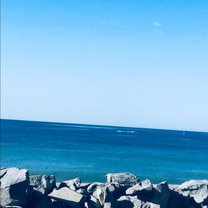 Meet your Posher, Izzy